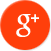 Google+